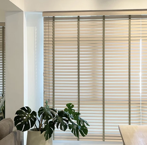 Venetian Blinds