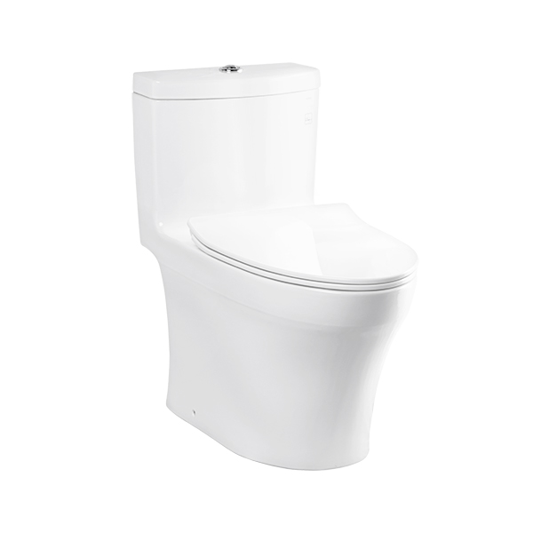 One Piece Toilet, C889CDESI