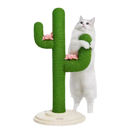 Cactus Cat Climbing Frame 