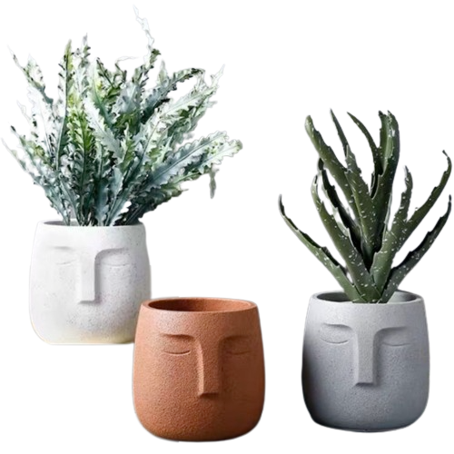 Face Concrete Planter
