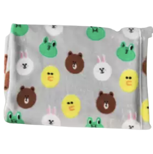 Line Friends Bean Bag Cover