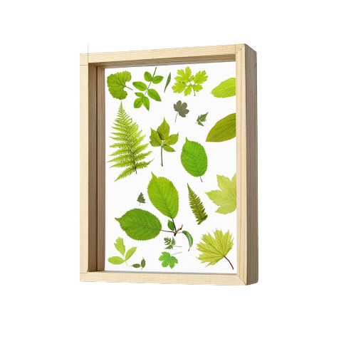 Double Sided Glass Wooden Frame 