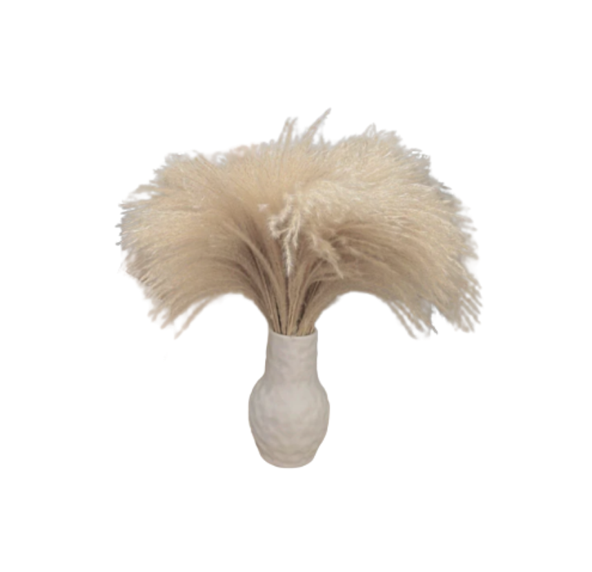 Dimpled Vase & Petite Pampas Set