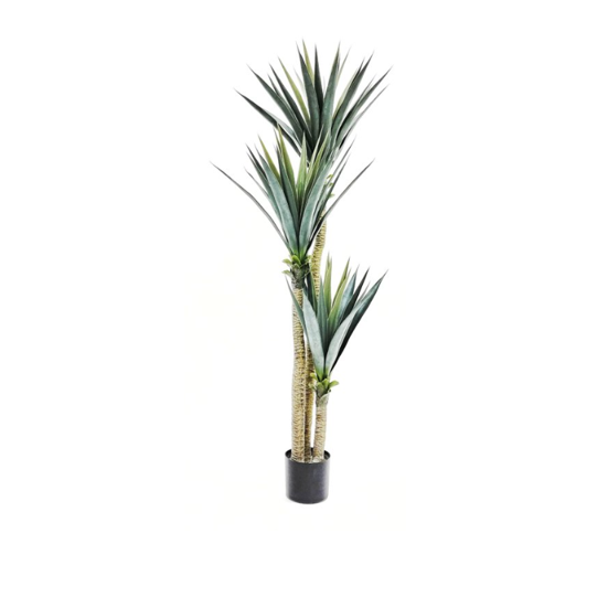 Faux Yucca Tree (Thick Leaves), 1.7m 