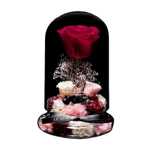 The Little Prince Box Set