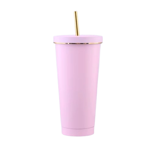 Stainless Steel Vacuum Flask With Straw