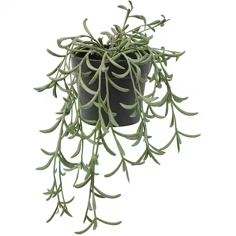 FEJKA Artificial Potted Plant, 9 cm
