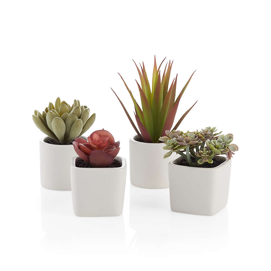 Faux Mini Potted Succulents