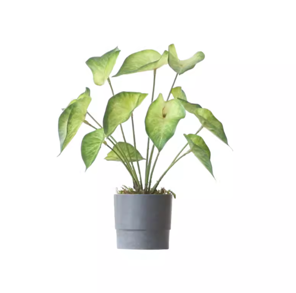 Faux Arrowhead Plant In Grey Planter