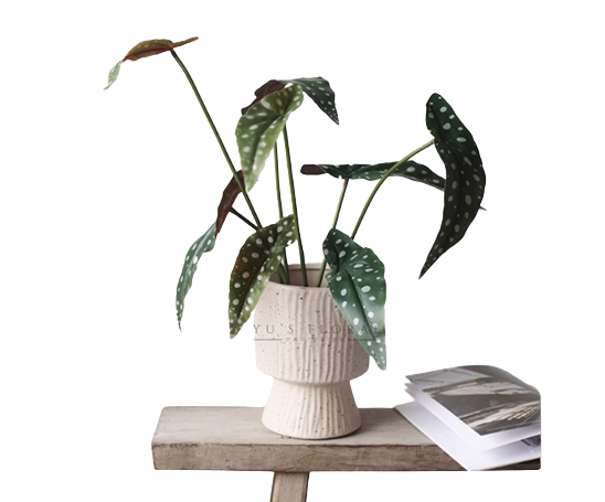 Faux Begonias With Vase