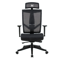 Ergonomic Chair
