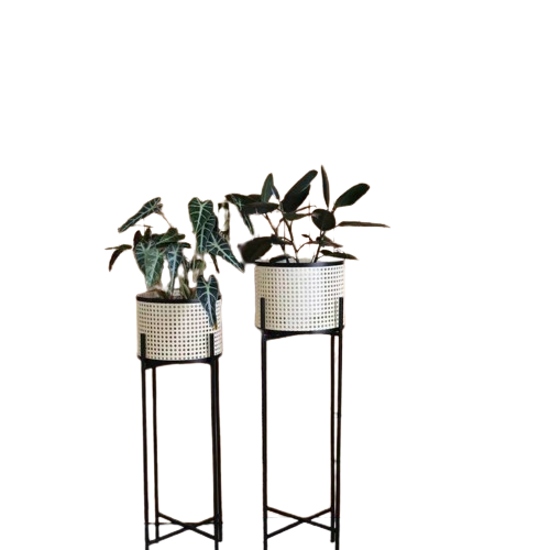 Plant Stand 