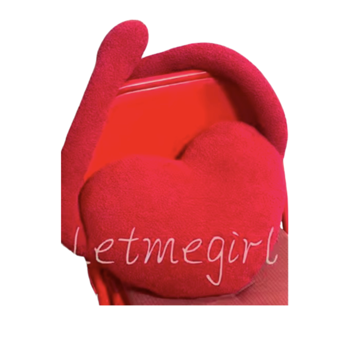 Heart Cushion
