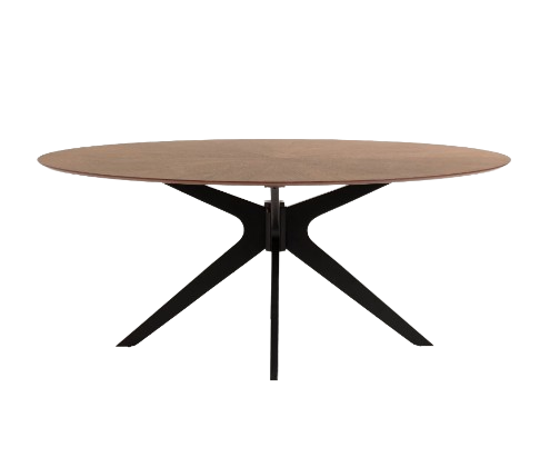 Naanim Table, 180 x 110 cm, Walnut Finish