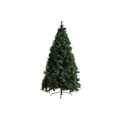 Abaco - Giant Needle Pine