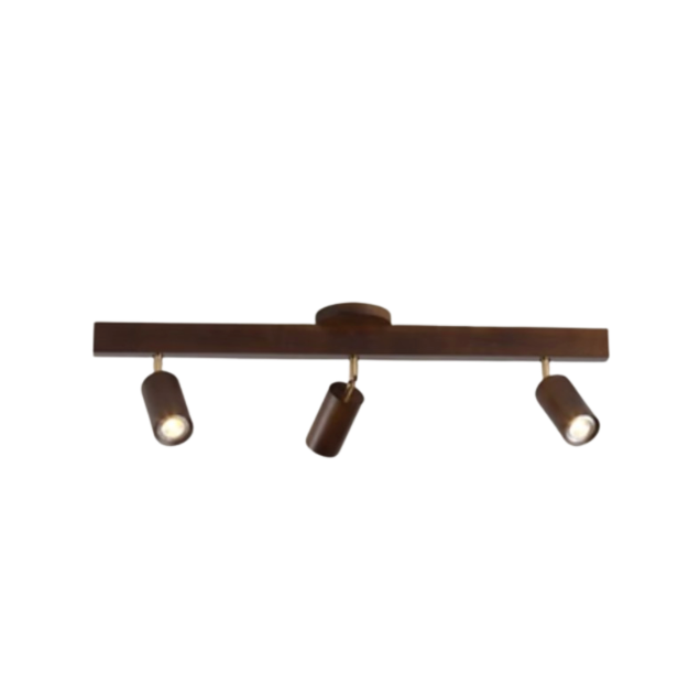 Living Room Track Light