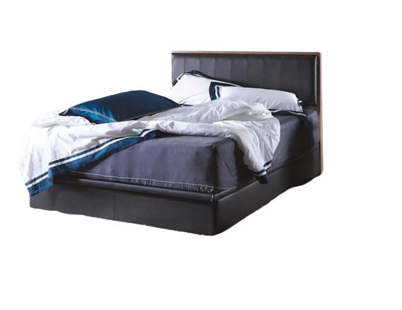 Trinity Bedframe With Storage Divan + Orthopedic Master Mattress 10"inch