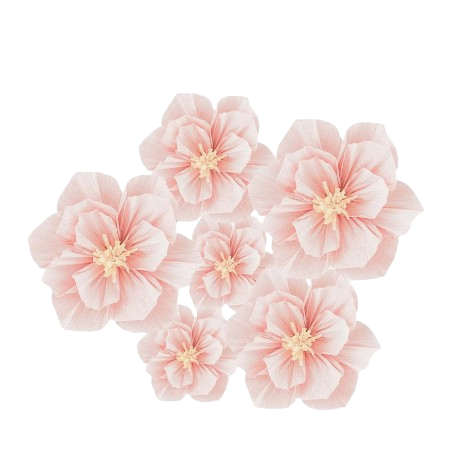 Paper Flower Wall Decoration