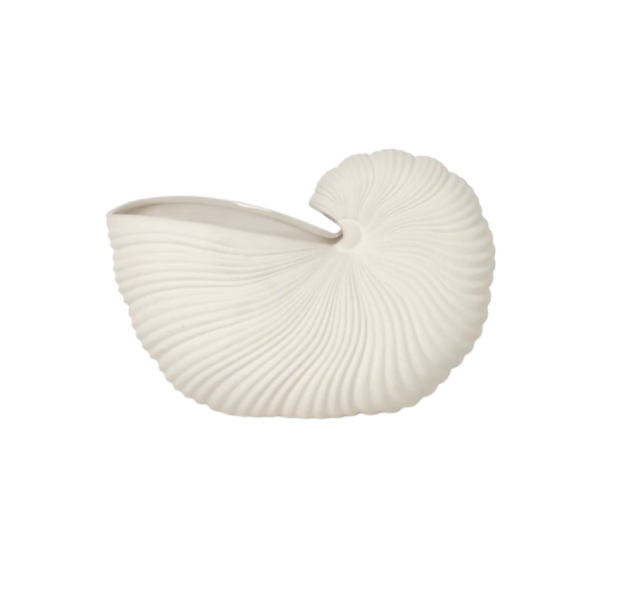 Shell Pot