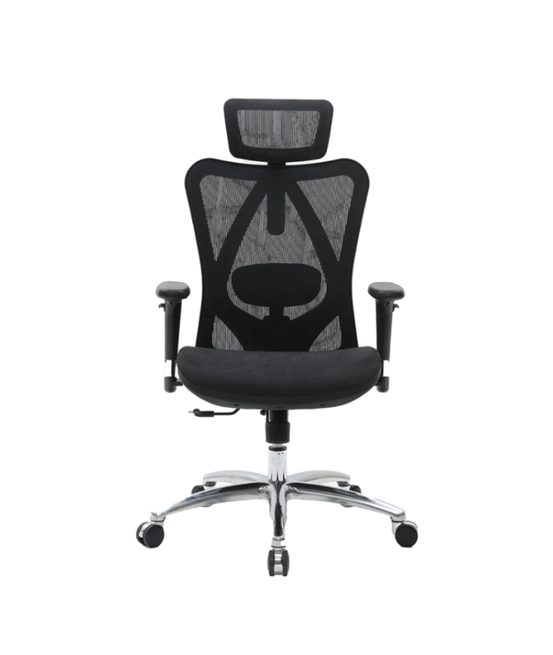 Sihoo M57 Mesh Ergonomic Office Chair