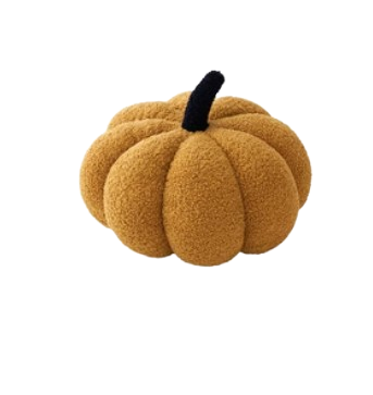 Pumpkin Cushion