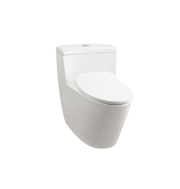 One Piece Toilet Bowl, C636CDE