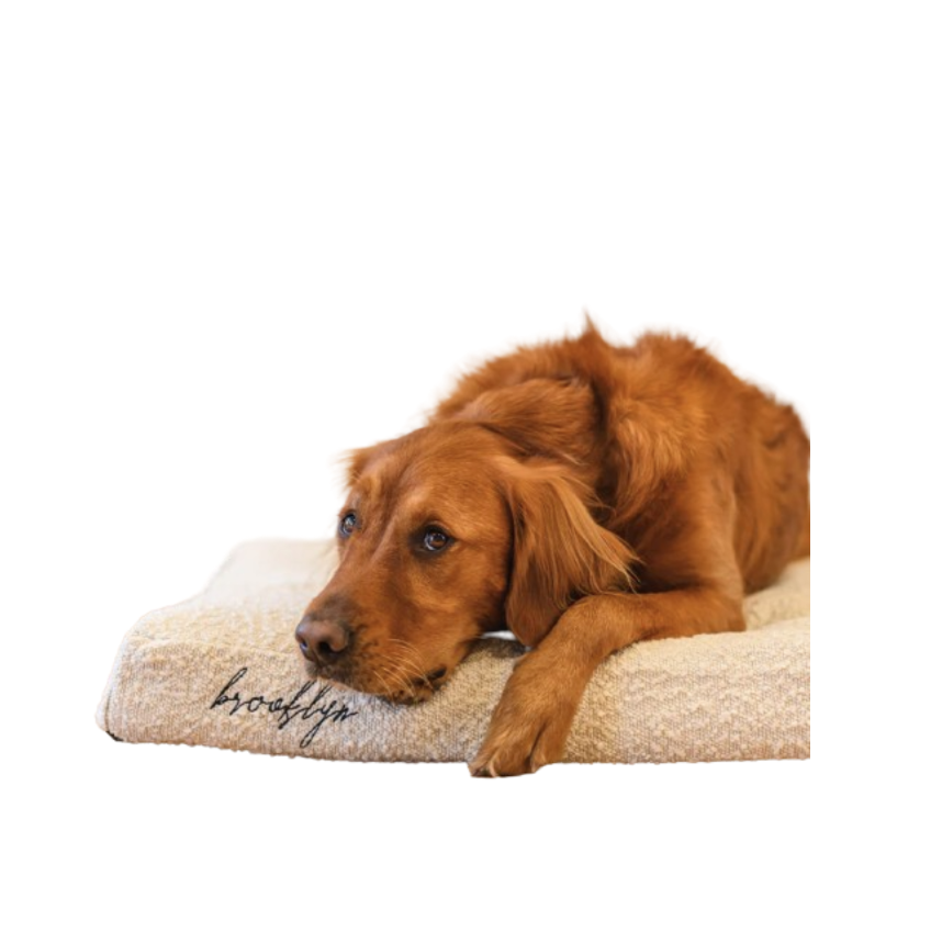 Dog Pet Bed