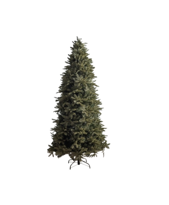 Astoria, Douglas Fir Slim