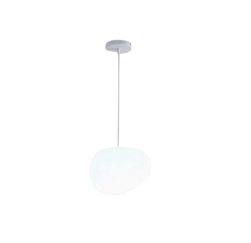 Odd Shape Pendant Lamp