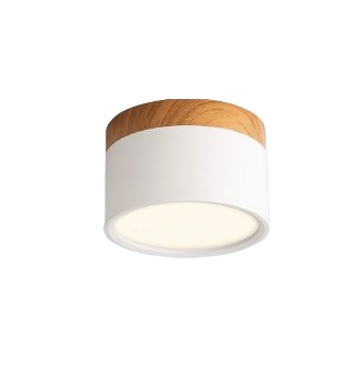 Nordic Ceiling Light
