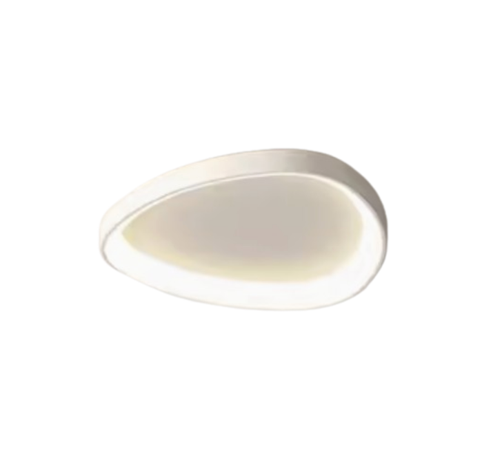 Morden Ceiling Light