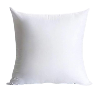 Indoor Decoration Cushion Pillow
