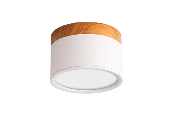 Round Nordic Ceiling Light