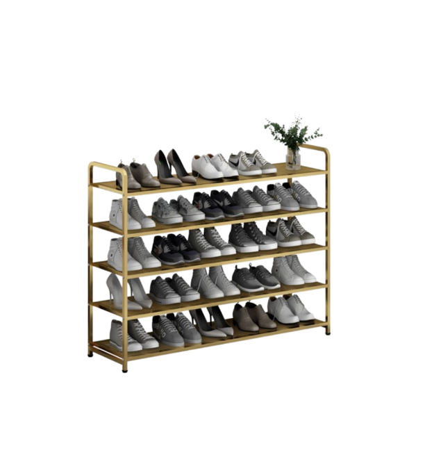 Golden Shoe Rack