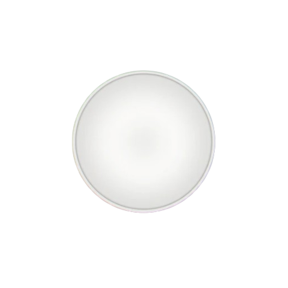 Round Ceiling Light