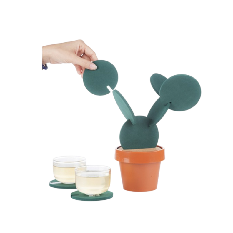 Cactus Plant Coaster Coasters 6pc Set