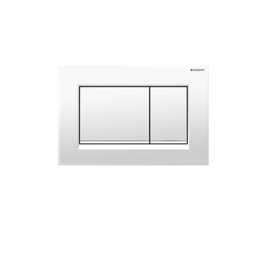 Sigma30 Dual Flush Plate