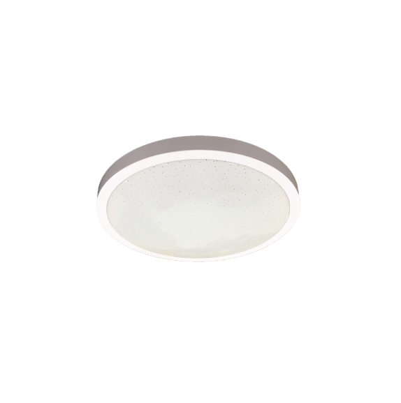 Toilet Round Ceiling Light