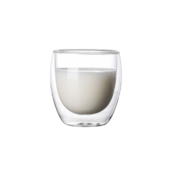 Double Wall Glass Cup