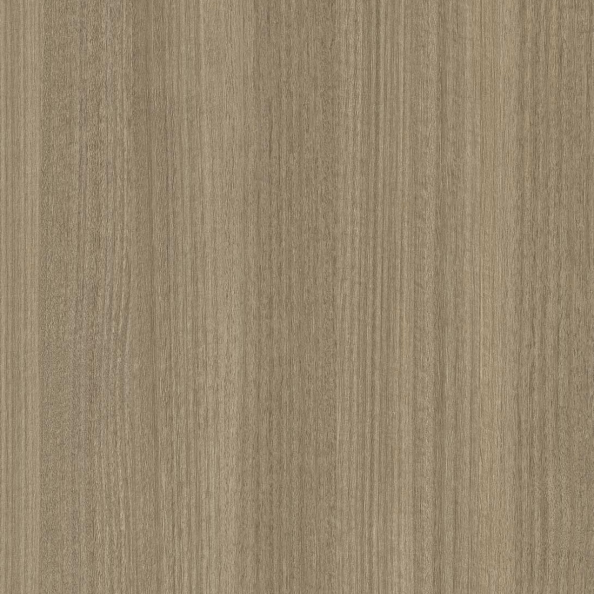 K2.06 TRIESTE EUCALIPTO