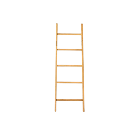 Clothes Hanger Ladder