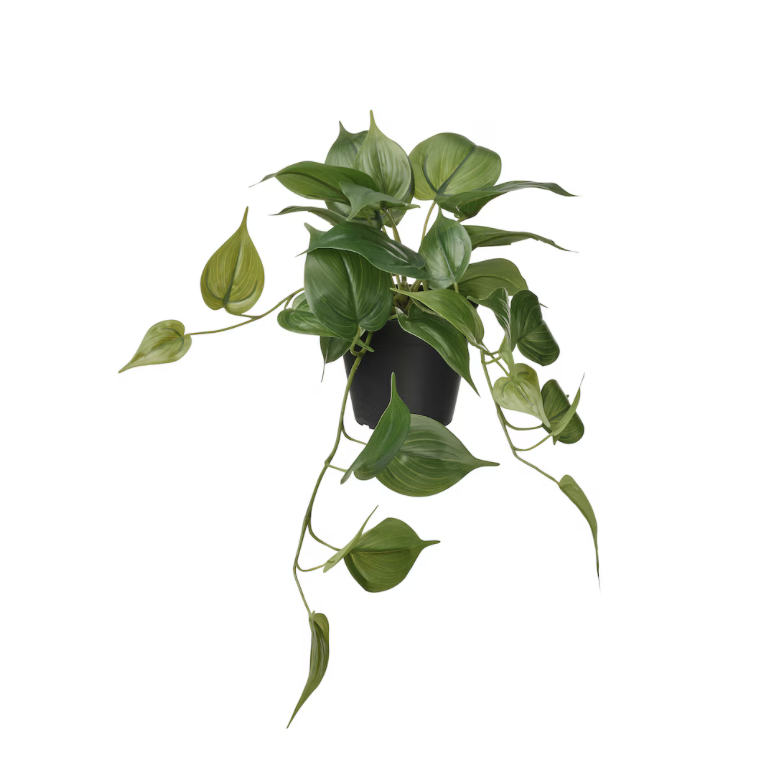 FEJKA Artificial Potted Plant, In/outdoor Golden Pothos/hanging, 12 cm