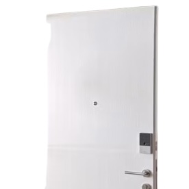 Elegant White Wood Main Door