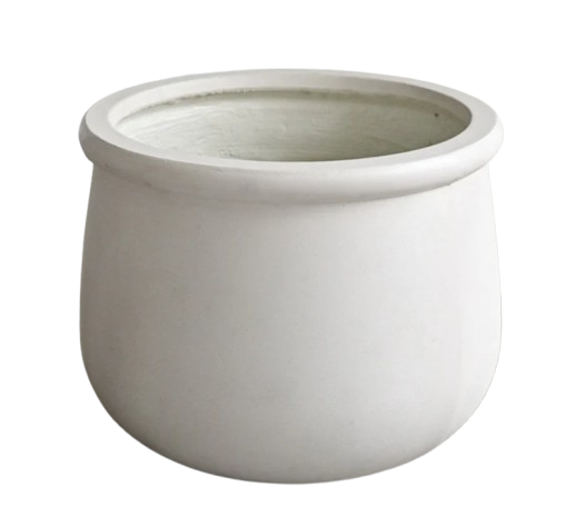 Plant Pot