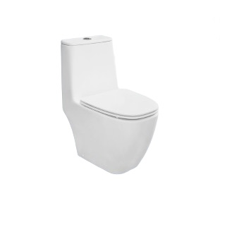 One-piece Toilet Bowl