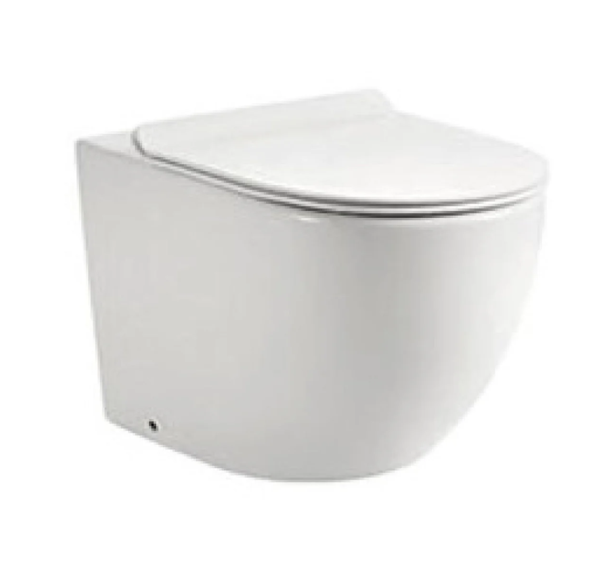 Wall Hung Toilet Bowl