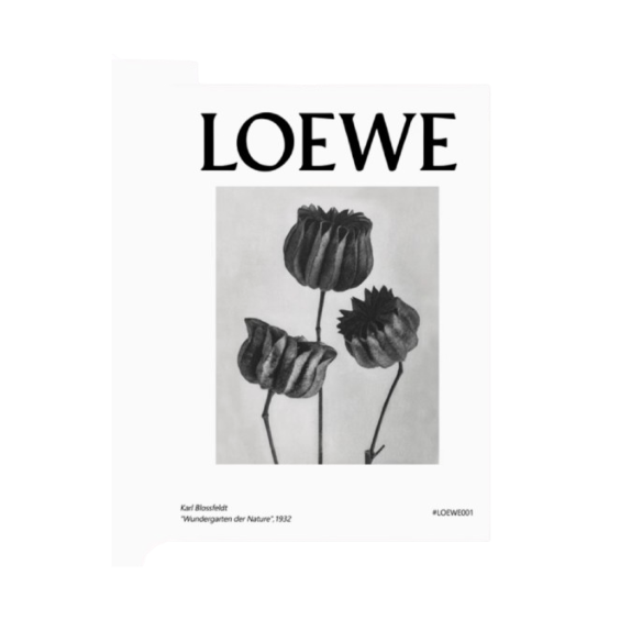Loewe Art Frame