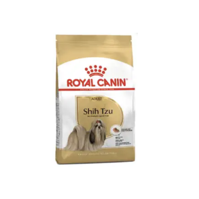 Canine Shih Tzu Adult