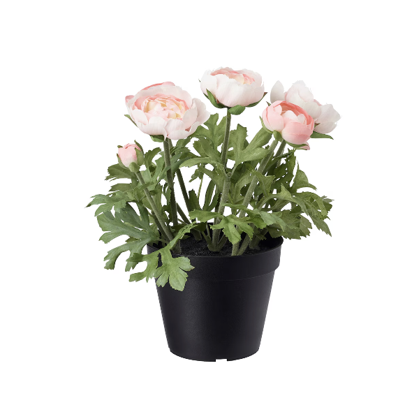 FEJKA Artificial Potted Plant, in/outdoor/Ranunculus pink, 12 cm