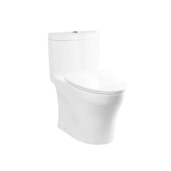 Tornado Flush One-Piece Toilet Bowl C889